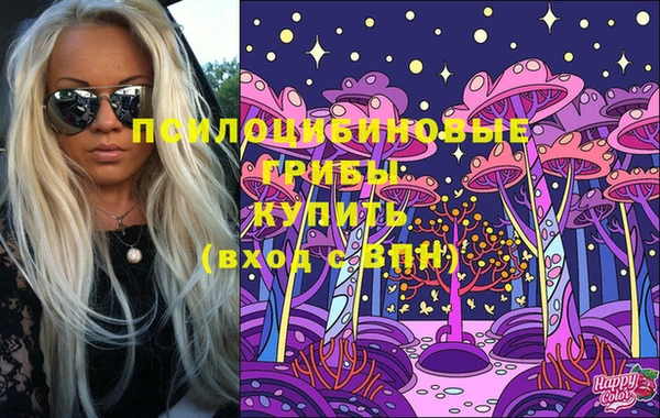 дмт Арсеньев