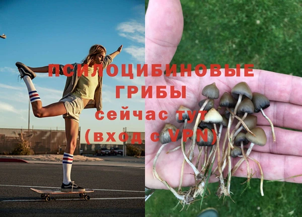 дмт Арсеньев
