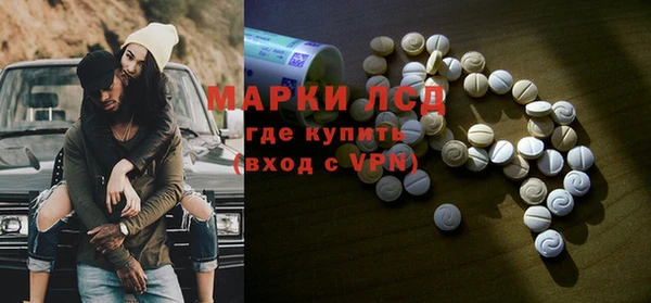 гашик Аркадак