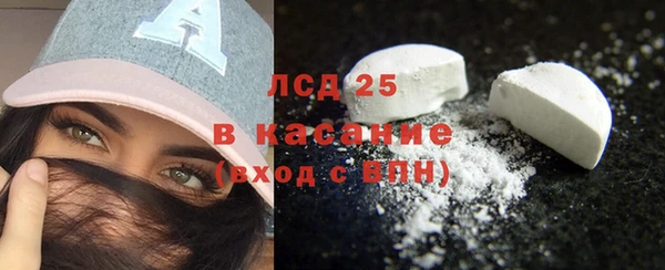 гашик Аркадак