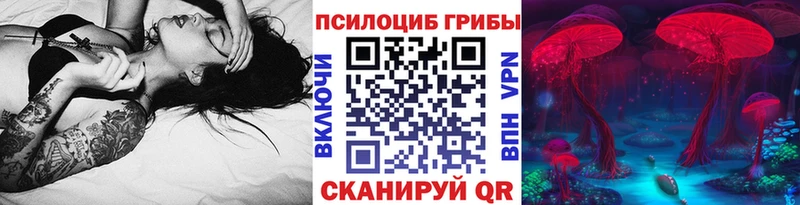 Купить где  Торопец  Галлюциногенные грибы мицелий 